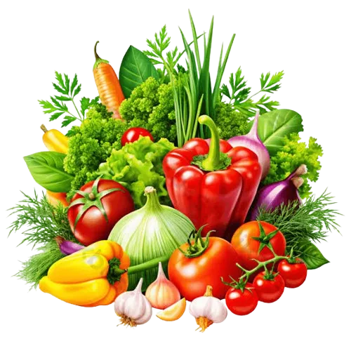 Vegetable