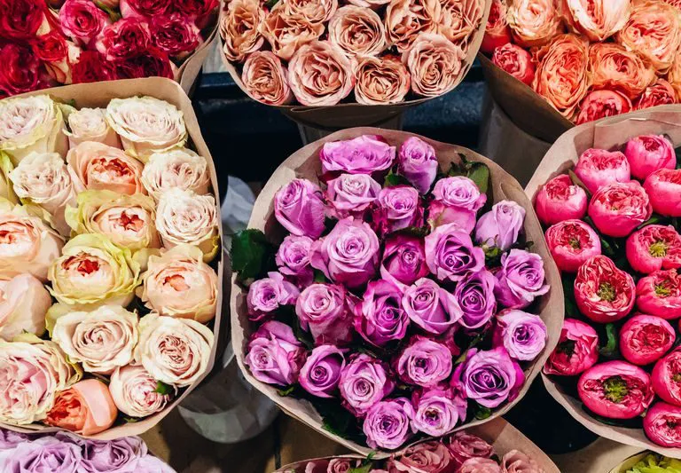 Fresh Flowers